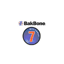 BakBone NetVault �������